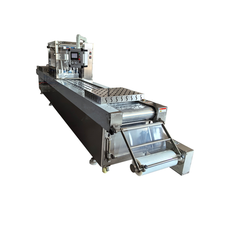 Plastic Thermoforming Machine Automatic Continuous Thermoformed Stretch Film Vacuum Packaging Machine