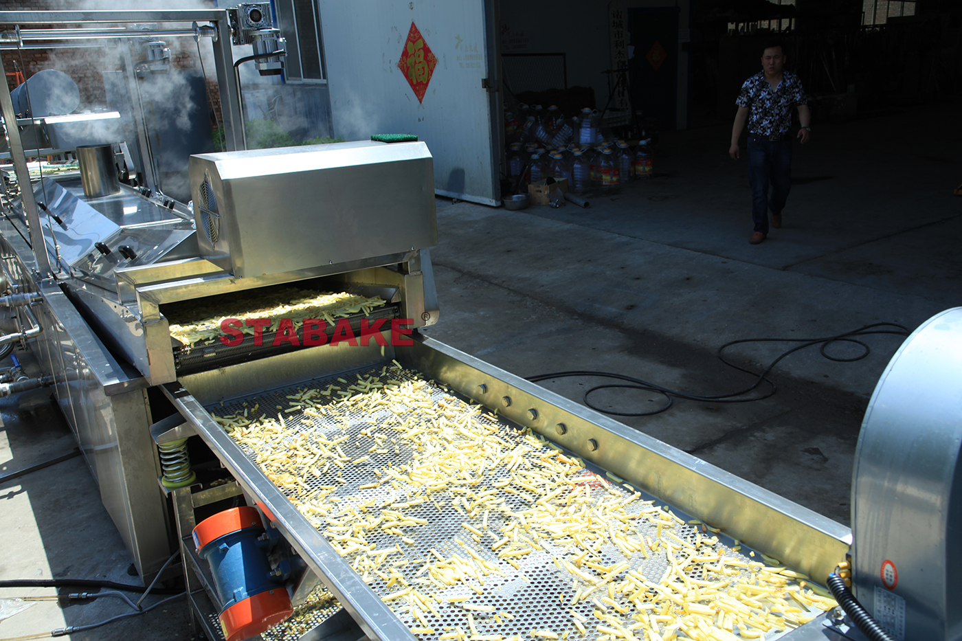 Frozen french fries production line manufacturer
