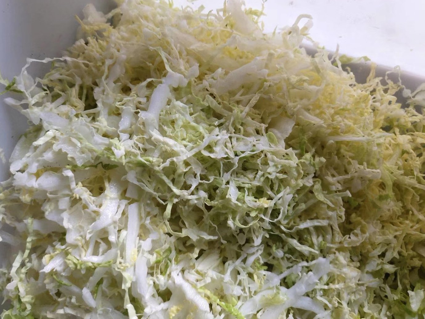 Cabbage Cutting