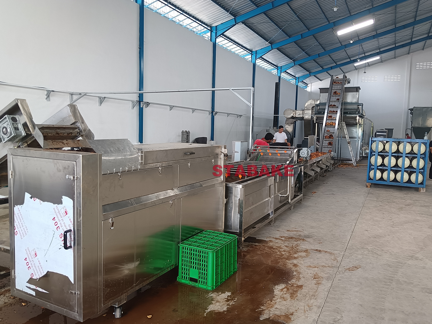 Complete Porang Konjac Processing Line in Indonesia