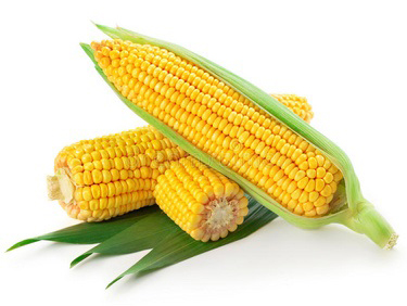 Sweet Corn And Frozen Corn Processing