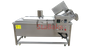 Automatic Continuous Frying Machine