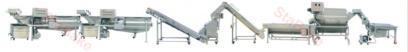 Green Vegetable processing line