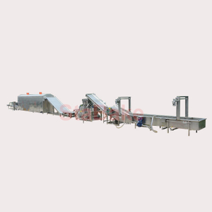 Raisin Washing And Drying Grading Processing Line