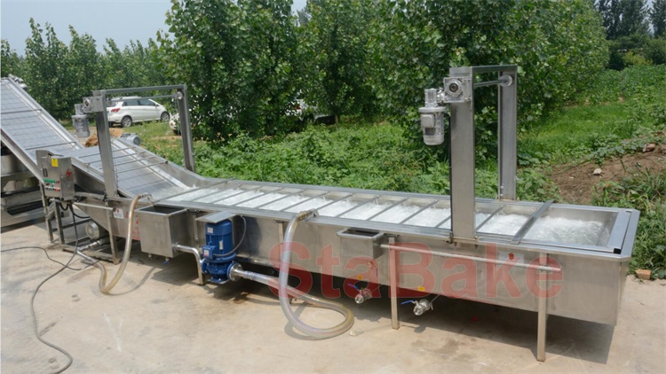 Automation Grade: Automatic Raisin Drying Machine, 125 Kg at Rs