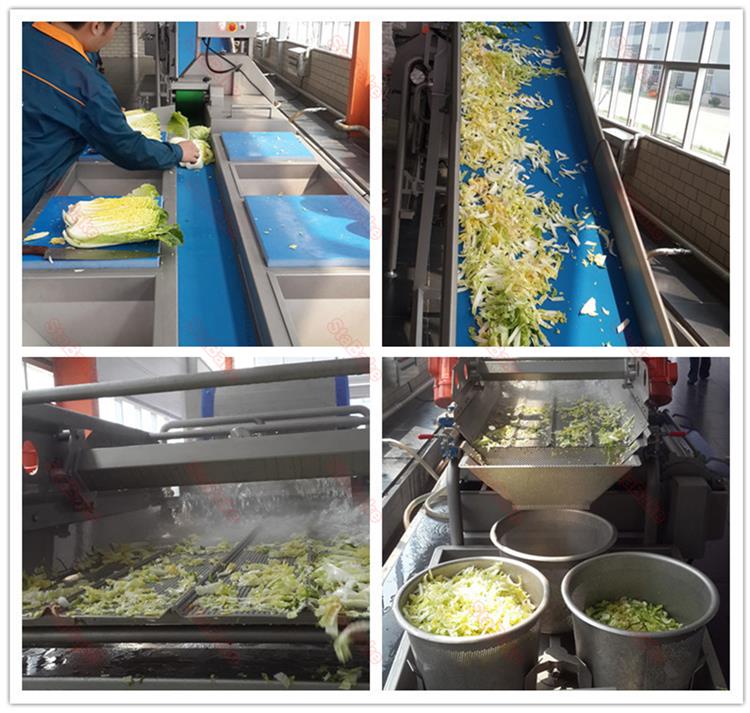 Automatic salad vegetable washing processing line