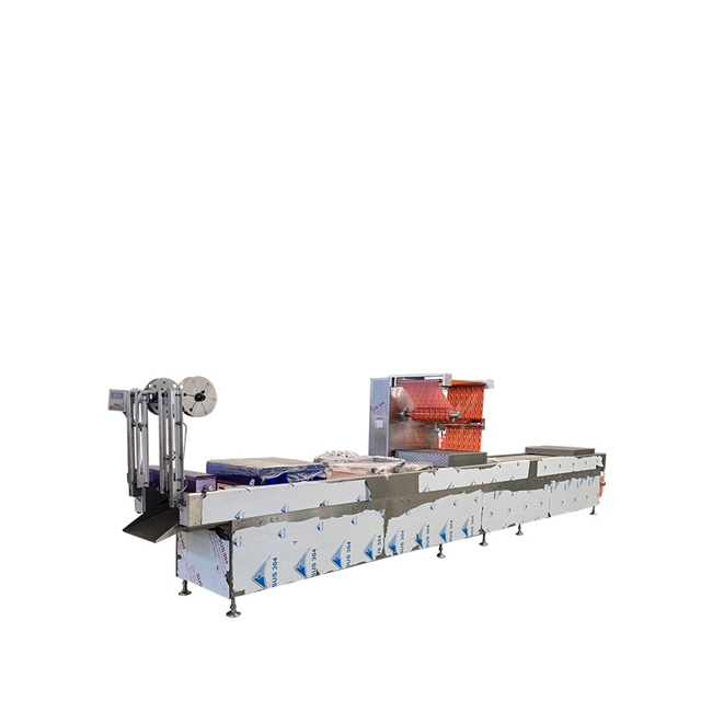 Plastic Thermoforming Machine Automatic Continuous Thermoformed Stretch Film Vacuum Packaging Machine