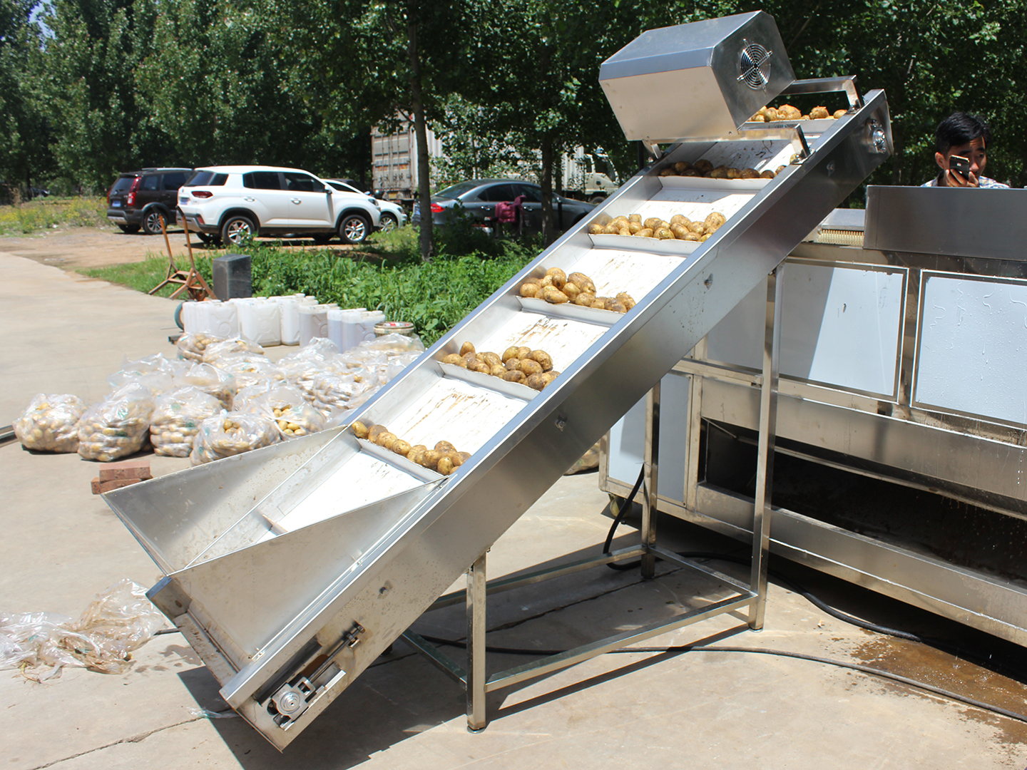 1. Potato Lift Conveyor