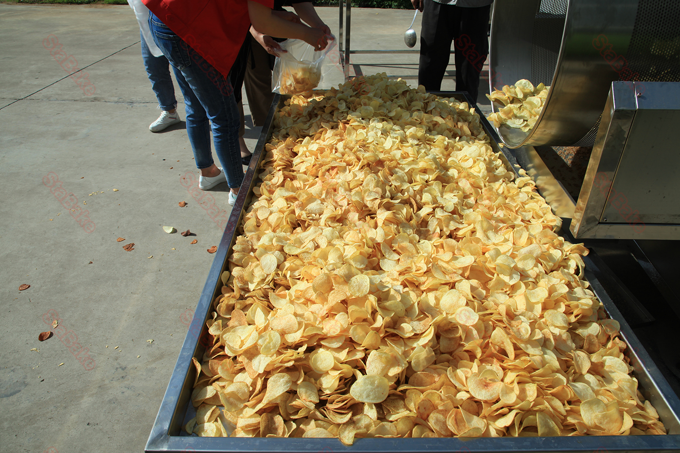 complete potato chips machine