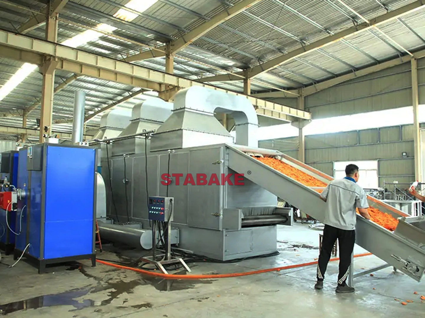 Automatic carrot drying processing line (1)