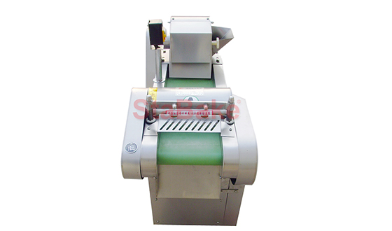 Review of specific ways of maintenance of vegetable cutter