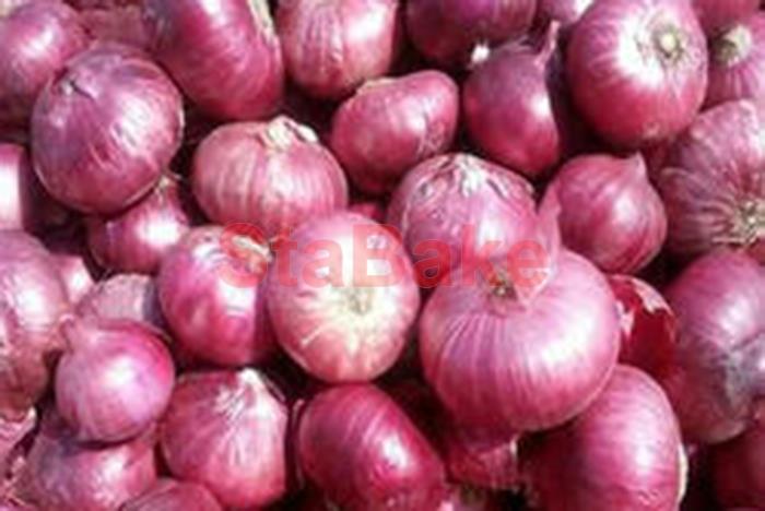 lndustrial onion peeler